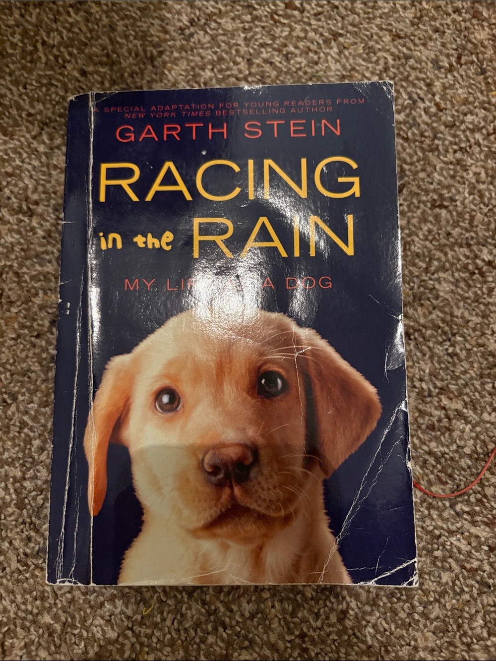 Racing in the Rain